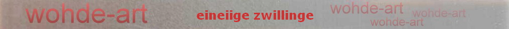 eineiige zwillinge