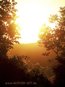 Sonnenaufgang Feld